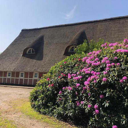Ferienwohnungen Unter Den Eichen Stade Esterno foto