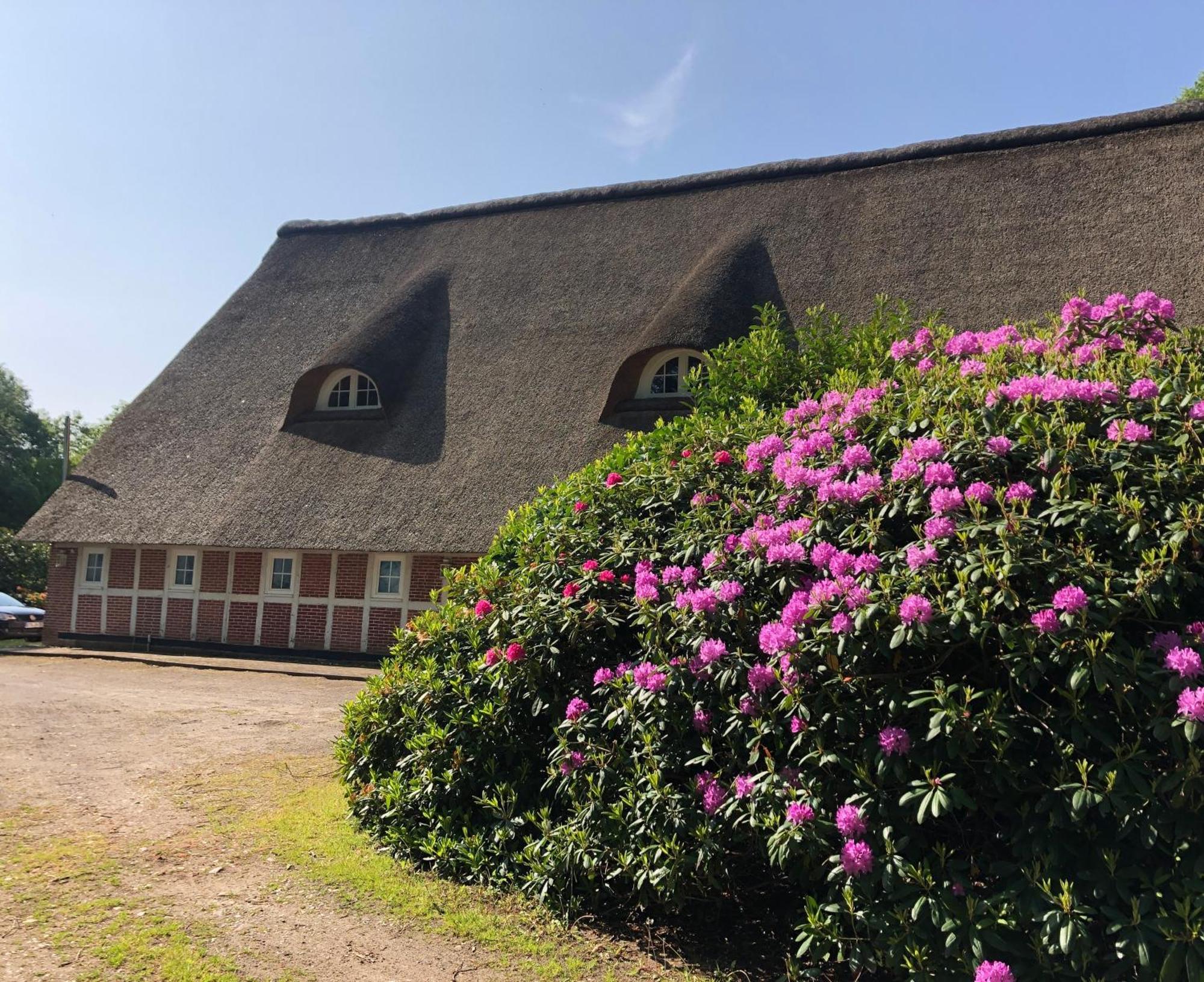 Ferienwohnungen Unter Den Eichen Stade Esterno foto